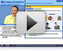 Microeconomics Video lessons
